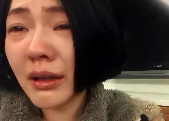 风水轮流转!这一次小S终于打败了大S!