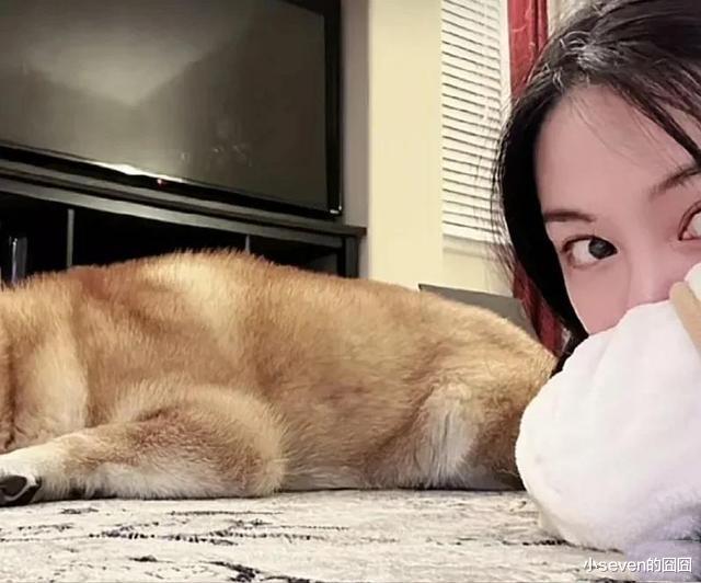 郑爽晒圣诞过节照被调侃，看似在美国生活潇洒，其实过得并不好