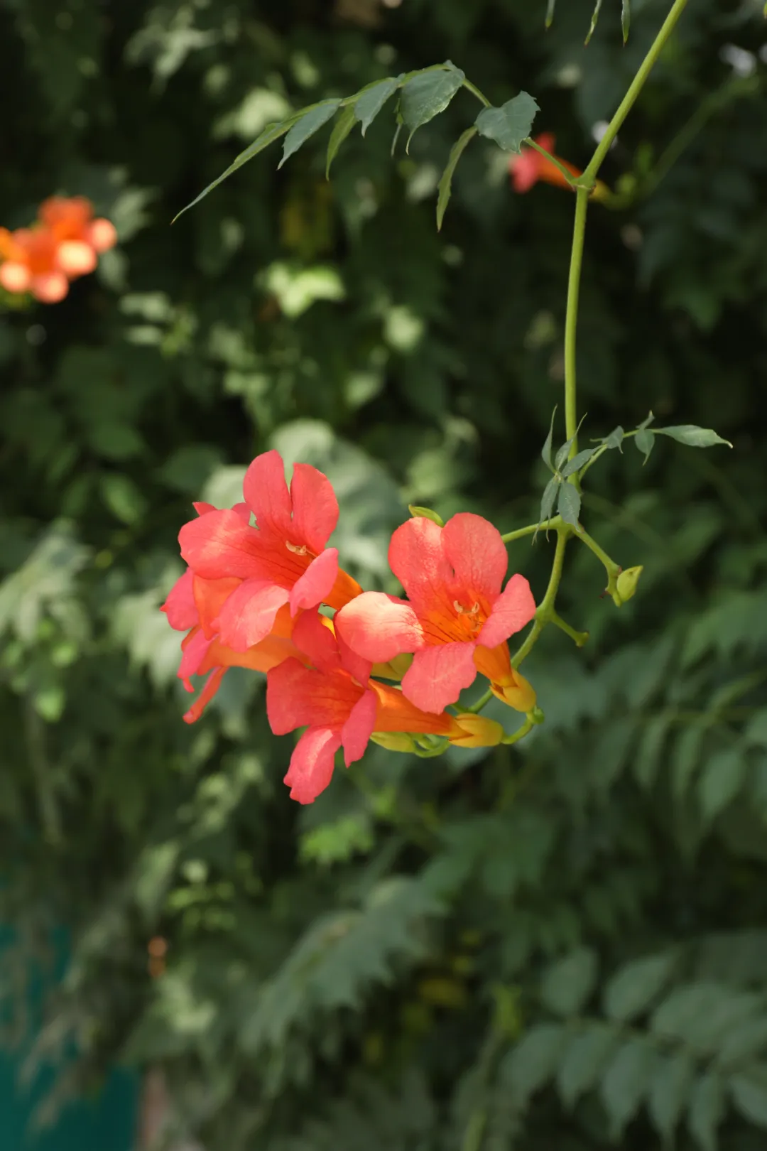 车程只要半个小时,就能美食相伴、策马奔腾潇潇洒洒?