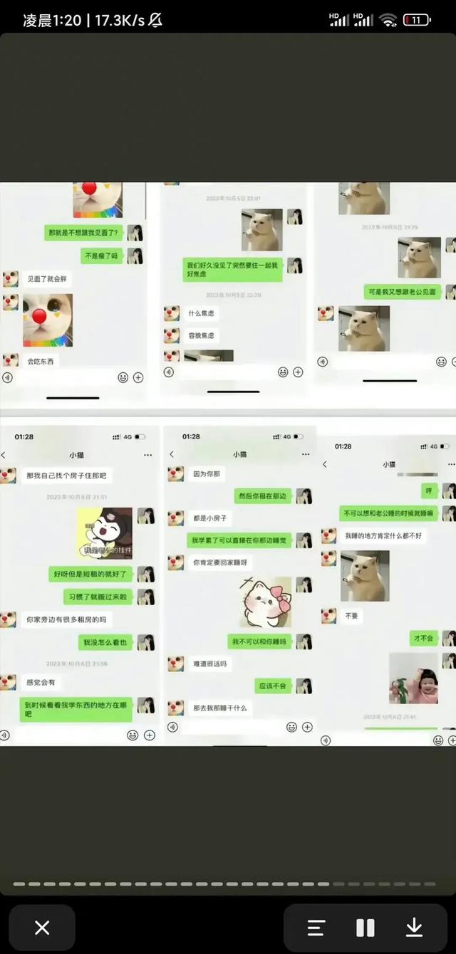 谭竹深夜发文再次回应,对网上舆论逐条澄清,发和胖猫的聊天记录