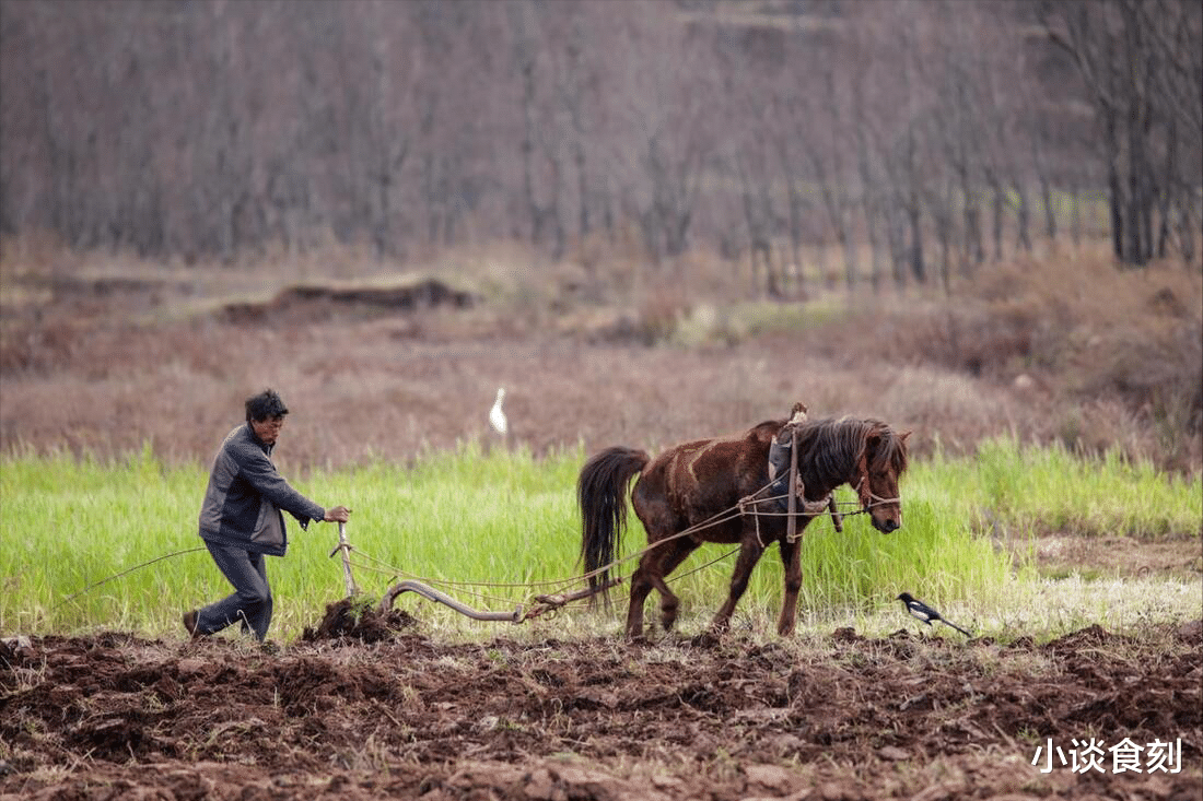 二月二龙抬头，提醒：5件吉事要做，“请龙”到家，带来一年好运