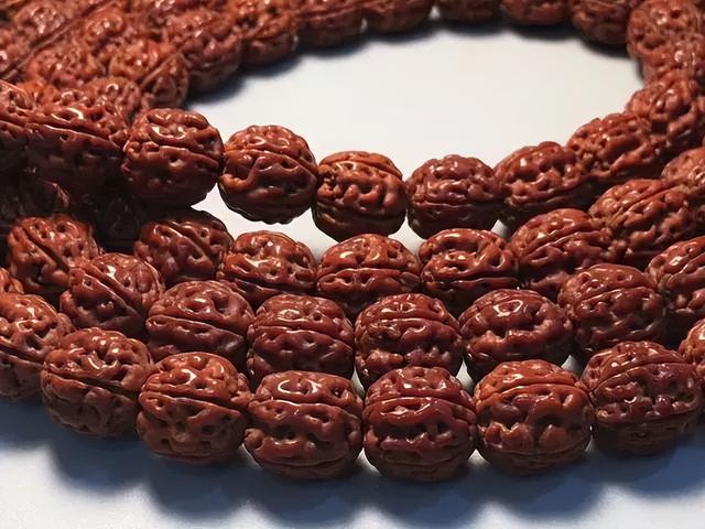 如何入手一条金刚菩提？