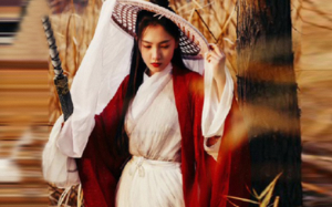 我和姐姐对各自的灵兽都不满意，重生后，我和姐姐选择互换灵兽，她得了我的神兽玄鸟，我得了她的废兽灰猫