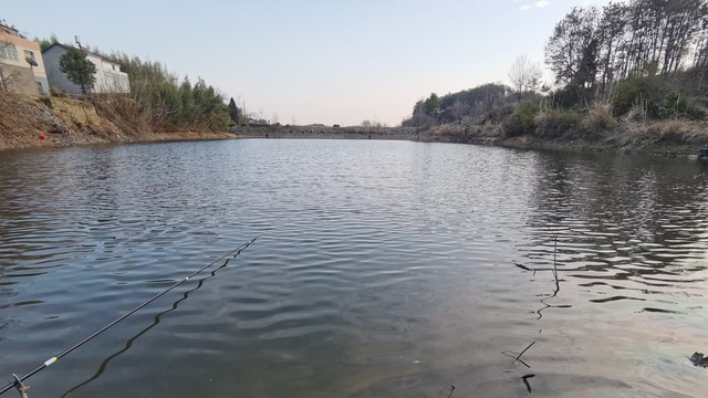 “跟着太阳钓，鱼往护里跳”，鱼的活动习性随着太阳的移动而变化