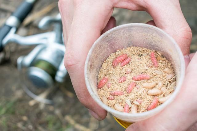 野钓遇到这四种情况，很难钓到鱼，收杆走人别浪费窝料