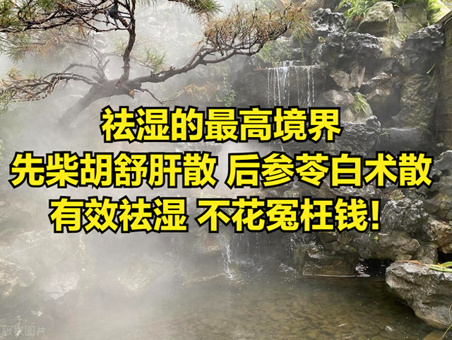 祛湿的最高境界 先柴胡舒肝散 后参苓白术散 有效祛湿 不花冤枉钱!