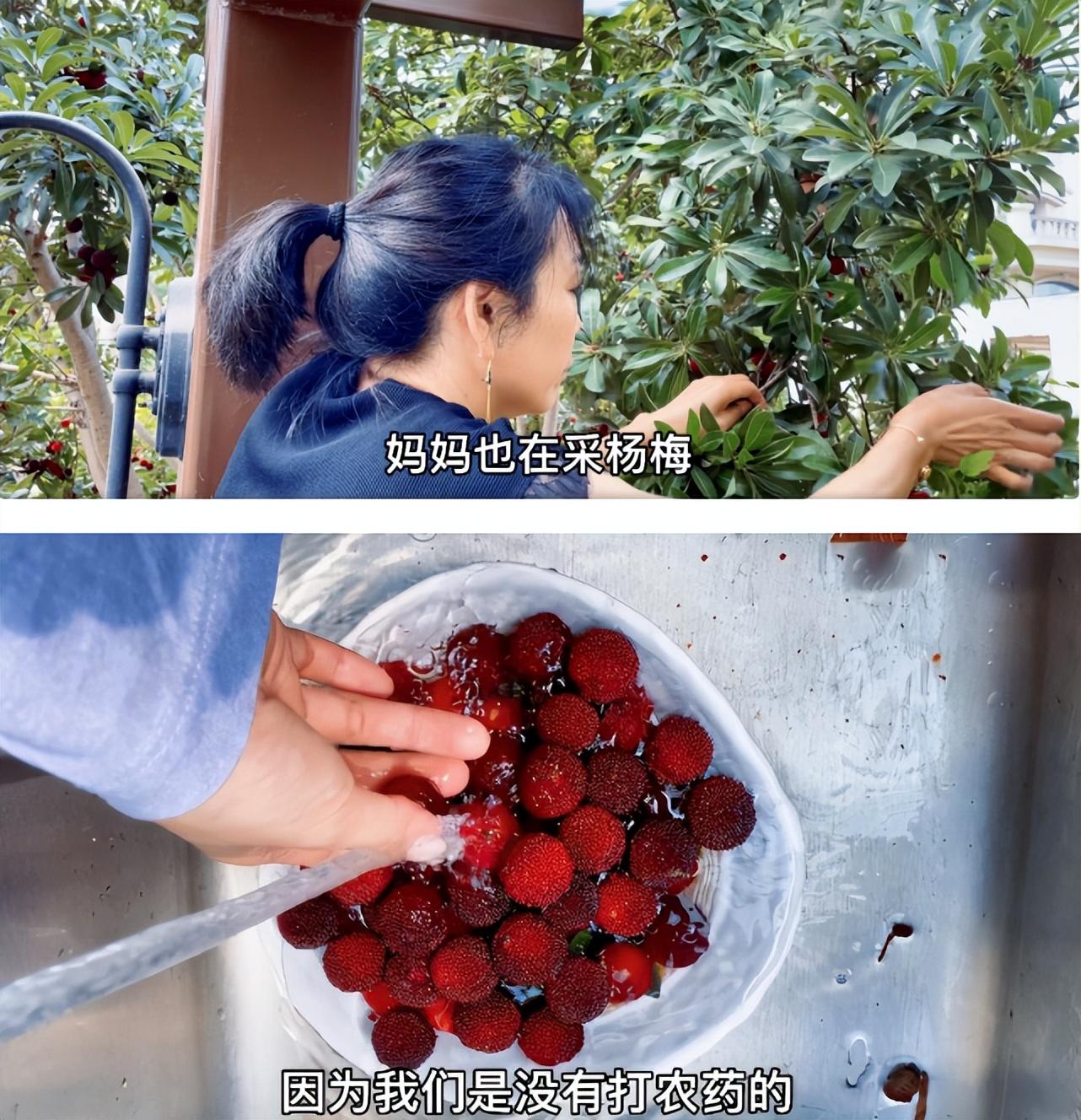 张馨予的4000万豪宅,因“满院的鲜花果蔬”走红,让人向往!