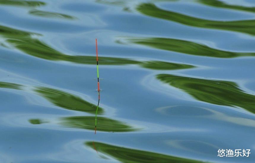 在走水环境中怎么钓鱼？想免受其影响，就要这么做！