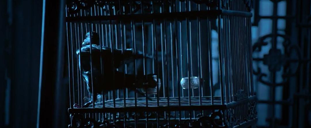 二刷《满江红》,9大细节成就张艺谋影史之最,难怪是票房冠军