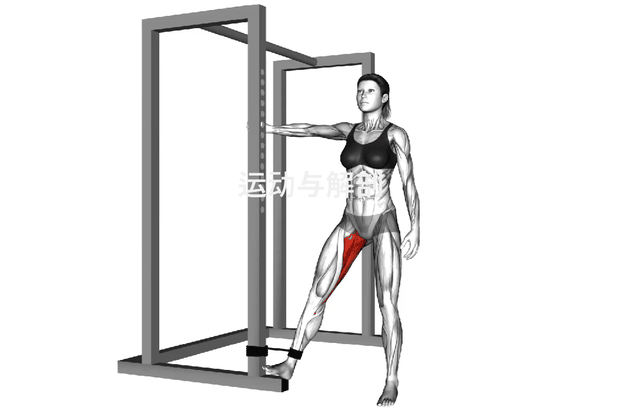 【每日一练】紧致大腿内侧，曲线更加出色！