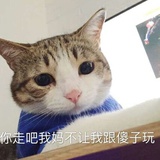 清浩看娱乐