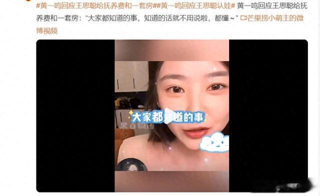 黄一鸣正面回应王思聪认娃