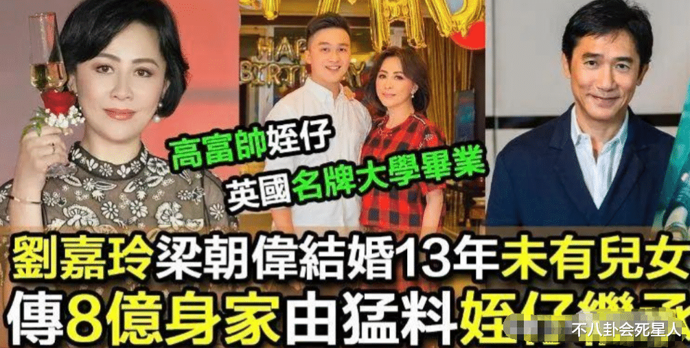 娱乐圈两位最“好命”的明星弟弟,或能继承姐姐上亿身家