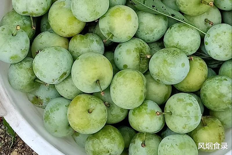 在中国，这10个地方的“李子”最好吃！味甜，汁多，错过可惜了