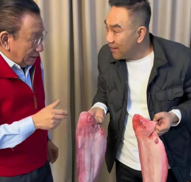 拔出萝卜带出泥!杨议的“倒戈”,暴露了一个“小圈子”的恶俗