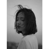 清欢历史