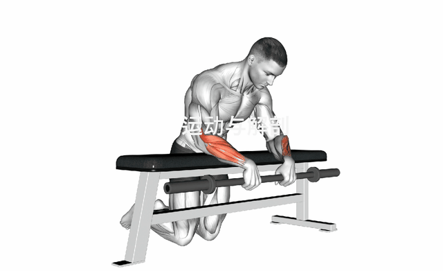 【每日一练】抓握无力，多练前臂！