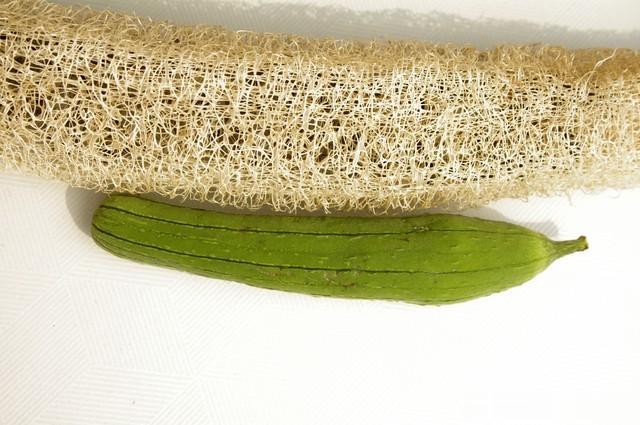 ?三伏天吃一宝，息肉越来越小！全身息肉都怕它，很多人却当垃圾