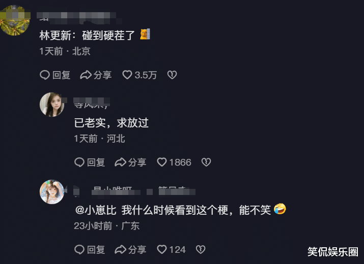 笑麻了!央视文旅强势回应林更新金句,网友:终于踢到钢板了