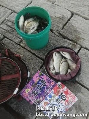 高温酷暑战胶河，地狱猫勇夺三连冠