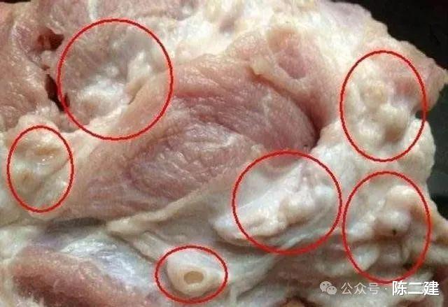 看狗血剧,吃骨泥肠,吃槽头肉,这还是人间烟火味?别残害同胞了