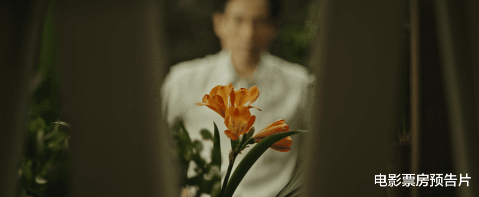 解读《看不见影子的少年》三条时间线，金满福疑点重重成最大看点