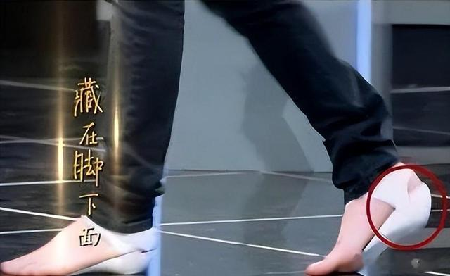 假发、假臀、假肌肉,大半娱乐圈“从头假到脚”,还有什么是真的