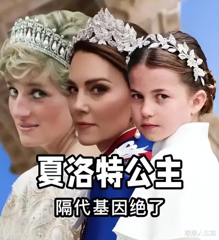 凯特太会生了:夏洛特有三个人的影子,乔治像威廉,路易神似母亲
