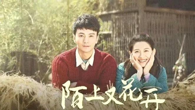 央八再播！40集都市大剧即将来袭，马藜、铁政主演，有望狂揽收视！