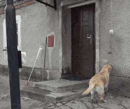 窦靖童要把王菲愁死了！剪莫西干发型秒变三毛，穿红绿撞色衣出行