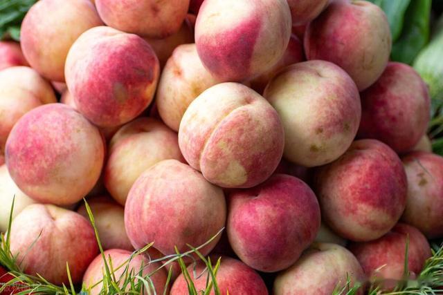 买桃子,挑软的还是硬的、尖的还是圆的?教你4招,桃子甘甜多汁