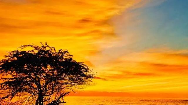 小姨子深夜扑入我怀中,媳妇不仅没阻止,还叫我抱紧一点