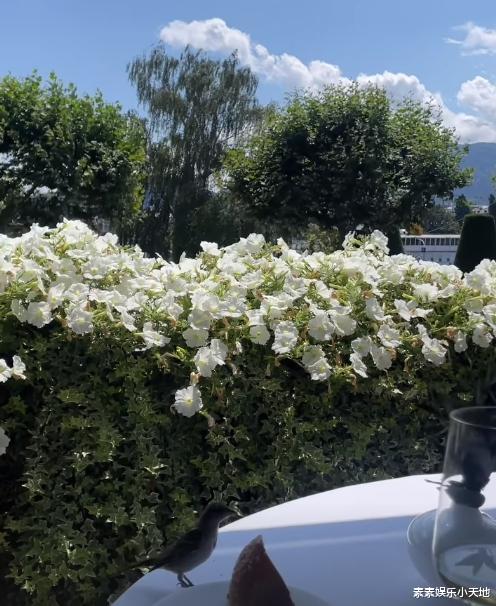 汪小菲带小梅到日内瓦度蜜月,坐游艇喂天鹅,大S没有过的待遇