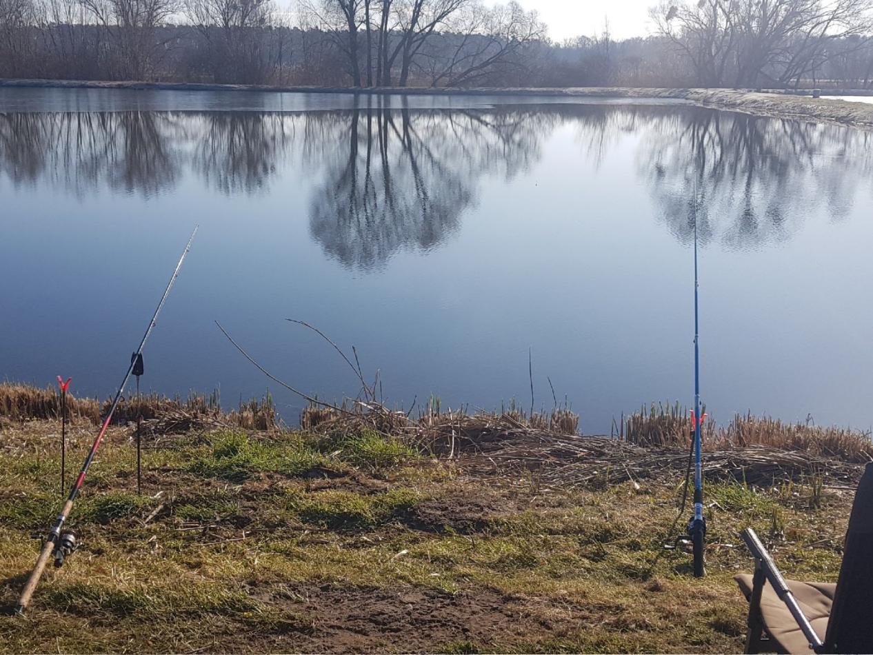 補窩不當，鯽魚全跑！教你如何用少量低頻率補窩釣大鯽