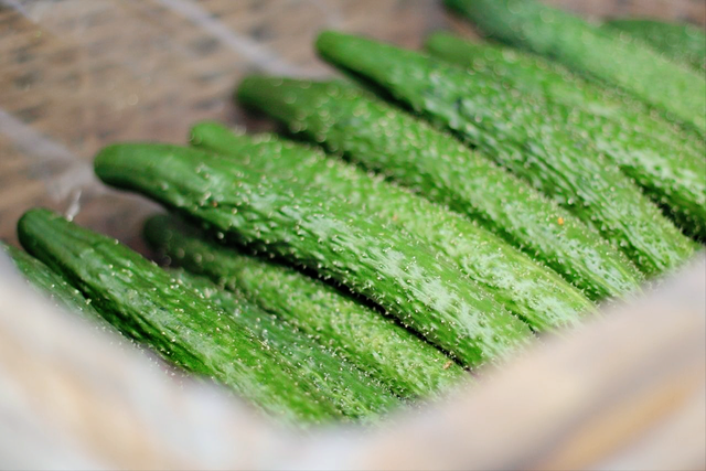 4种黄瓜不要买,都打了激素,教你4招识别问题黄瓜,关键看这里