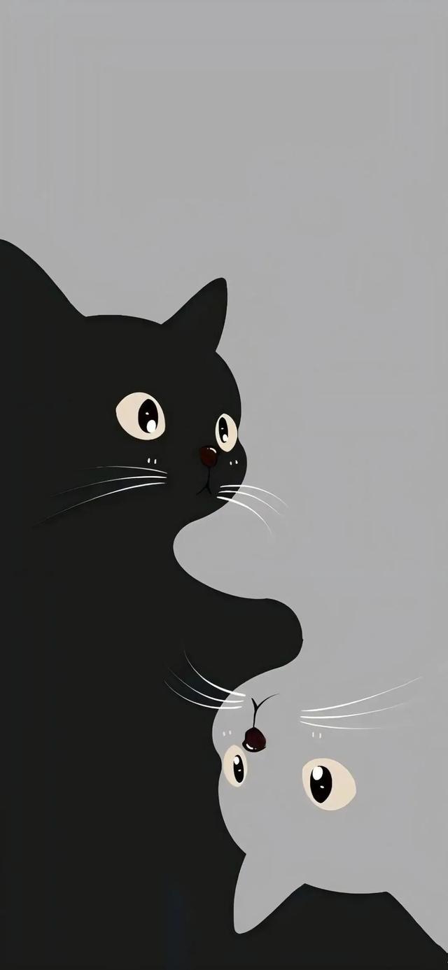 iPhone 16精选黑色壁纸