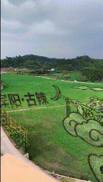 魏大勋扯的不是李沁的裙子,而是整个娱乐圈的丑,他们什么关系