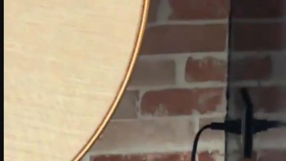 众星报平安：苏有朋玩具倒了，王大陆家墙被震裂，柯震东家这次损失大了