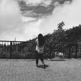 快乐的暖阳木