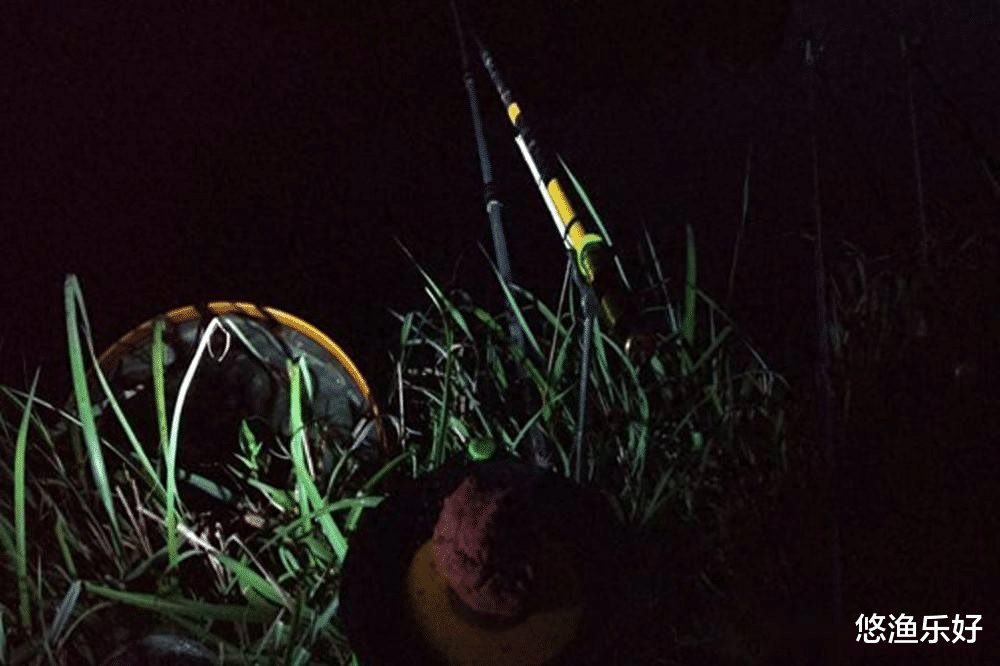 威胁夜钓安全的不仅有毒蛇,还有这几种生物,钓友们要注意!