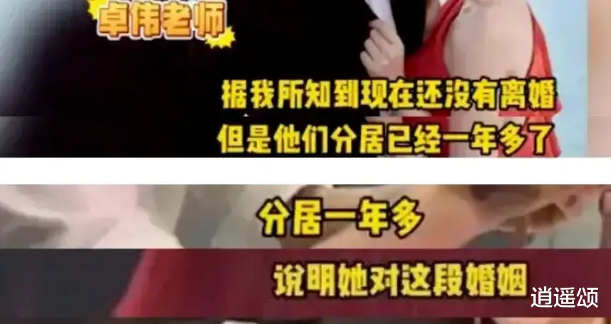 太意外了！陈妍希要净赔600万换自由，看完陈晓决绝原因，路人都沉默了！