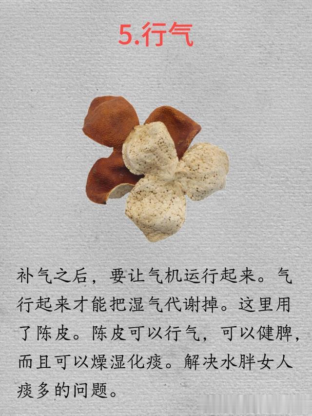 告别“喝水胖”！中医独家减肥法大公开