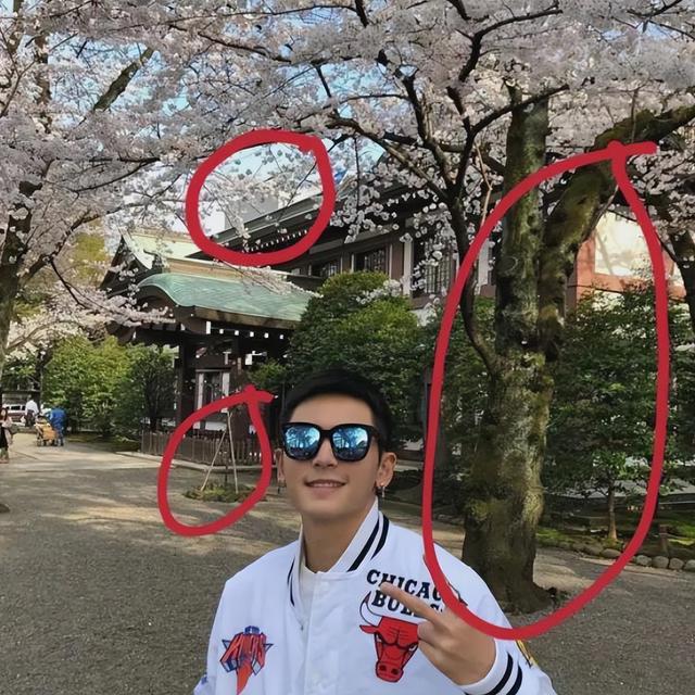 赵薇500万股权再遭冻结!原来她干的“丑事”,远比想象中更恶劣