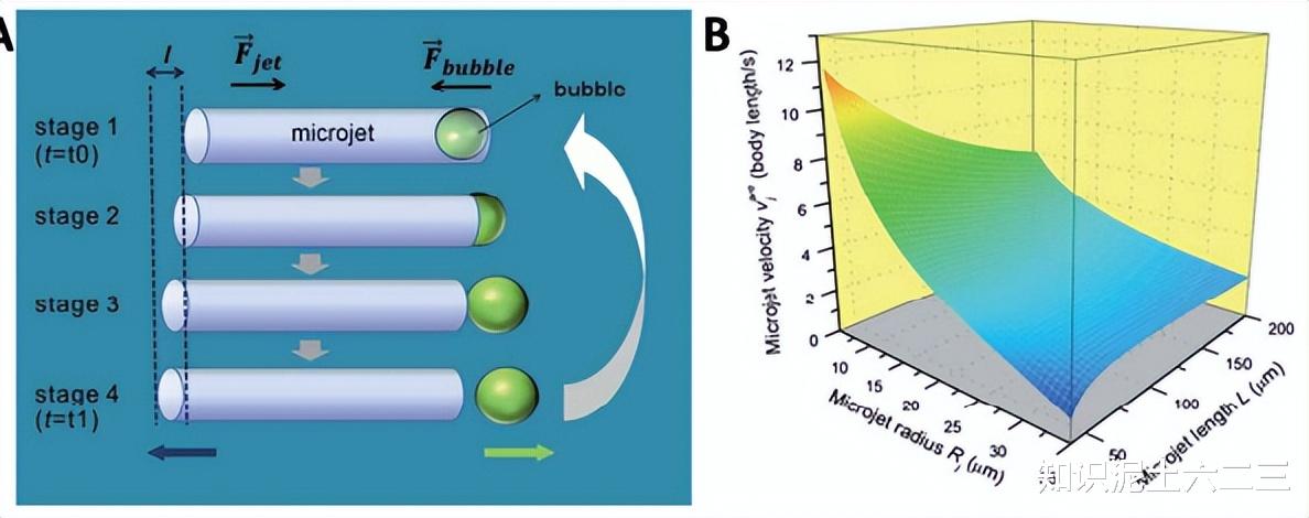 水凝膠微型機(jī)器人，材料多樣性能優(yōu)