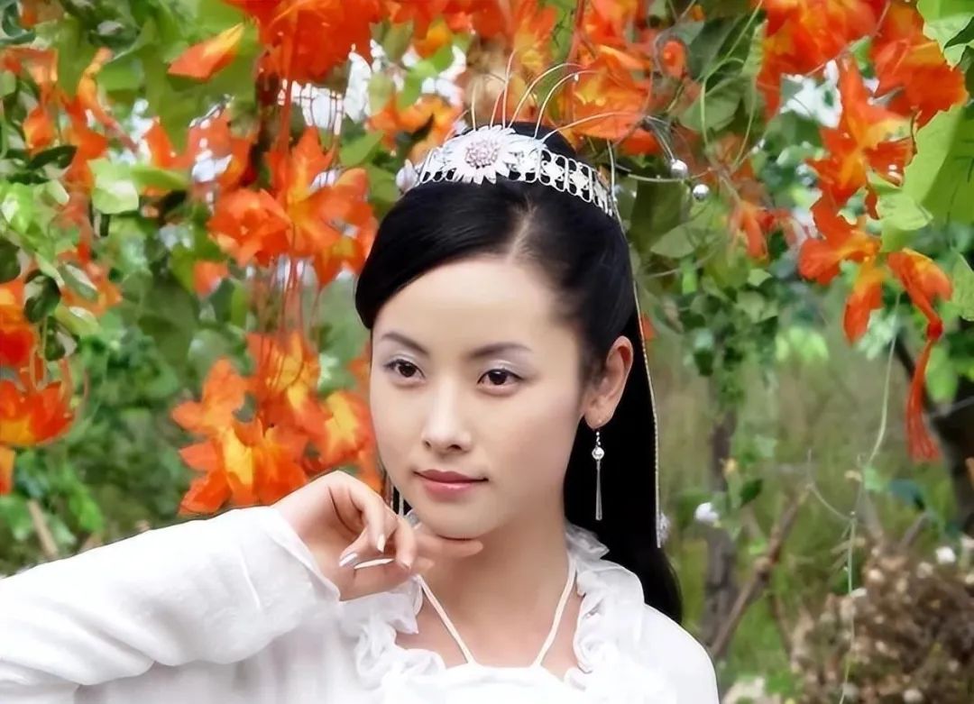 杨明娜：41岁结婚生子，44岁与演员田亮对簿公堂离婚，如今怎样了？