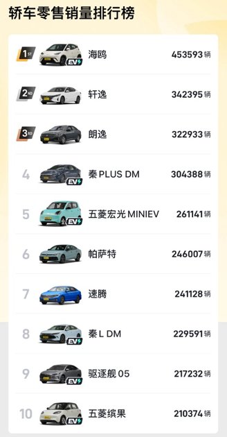 2024全年轿车、SUV、MPV销量排行榜，海鸥、Model Y、腾势D9夺冠