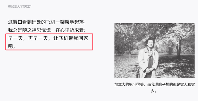 张兰和大s的因果，早写在这本书里！20多年前玩蛇的女人，很玄学