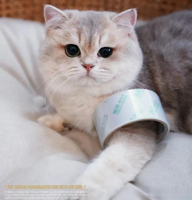 不是巴黎世家的手镯买不起，而是透明大胶带更有性价比