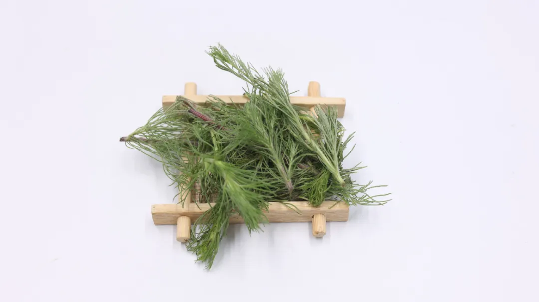 一味奇妙中药,养肝是灵丹,利胆是妙药,还抗癌、降三高、抗病毒