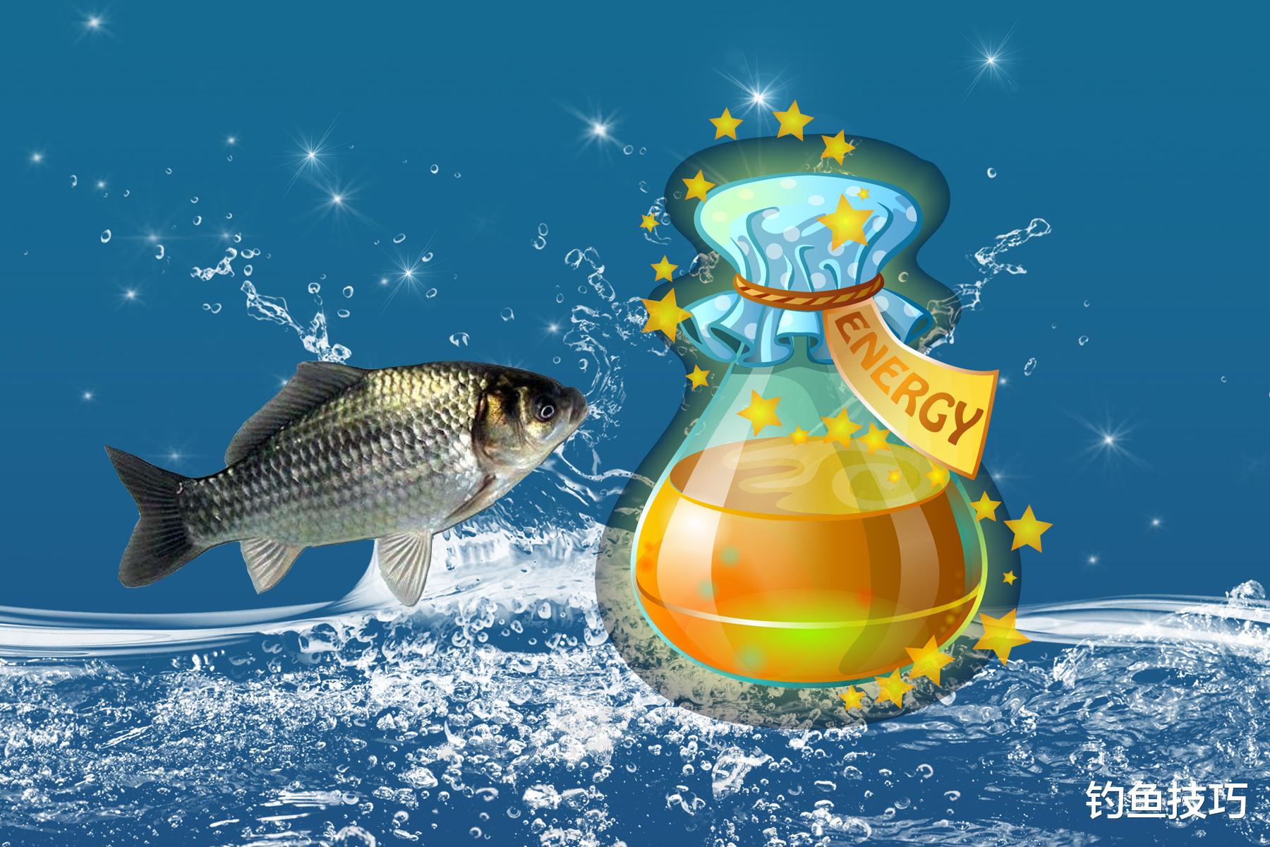 钓鱼麝香酒的5个奥秘，必须自己亲自制作